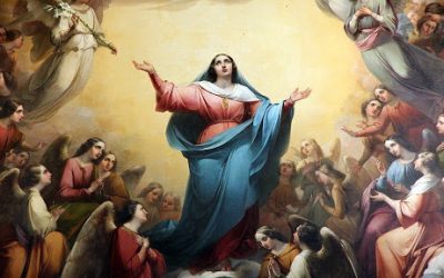 Uroczystość Wniebowzięcia N.M.P. – 15 sierpnia 2020 r.